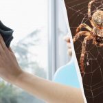 Ένα προϊόν καθαρίζει τα παράθυρα για να λάμψουν και ξεφορτώνεται