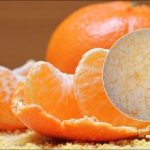 Πώς να διατηρήσετε τα πορτοκάλια για έξι μήνες: ένα μυστικό