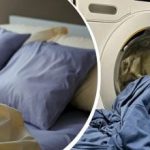 Πόσο συχνά πρέπει να αλλάζονται τα κλινοσκεπάσματα: οι ειδικοί έχουν