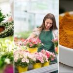 Ακόμη και τα καχεκτικά λουλούδια θα ζωντανέψουν σε 24 ώρες: ένα σπιτικό λίπασμα τριών συστατικών, χωρίς χημικά Ακόμη και τα καχεκτικά λουλούδια θα ζωντανέψουν σε 24 ώρες: