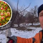 Αναζωογόνηση παλαιών οπωροφόρων δέντρων: τρία απλά βήματα που θα επαναφέρουν