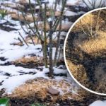 Αυτό είναι το λάθος που κάνουν οι περισσότεροι άνθρωποι: όταν